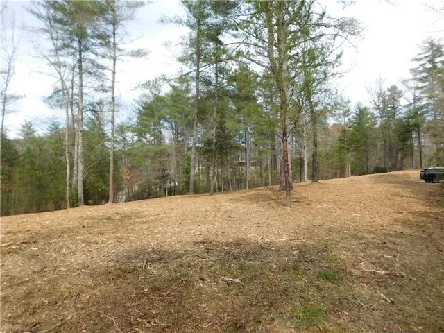$135,000 | 110 Horseback Trail, Sunset, SC 29685