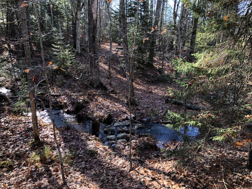 234 Keene Neck Road Bremen, ME 04551 - Photo 1 of 22 UNADJUSTEDNONRAW_thumb_5e54
