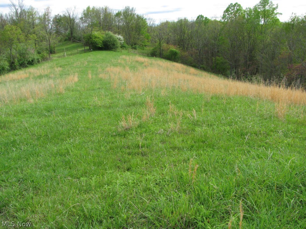 1767 Spruce Creek Road Auburn, WV 26325 - Photo 4 of 18
