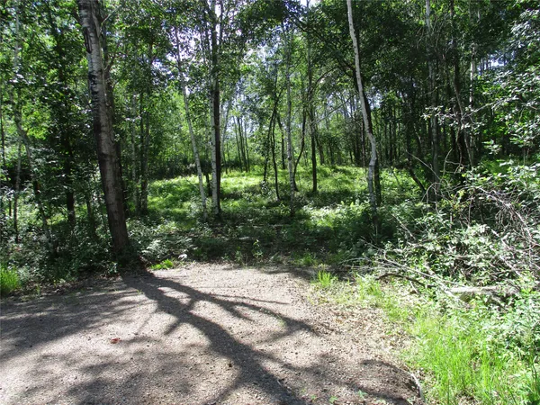 $52,000 | Lots #16-17 Lots Eden Avenue, Birchwood, WI 54817