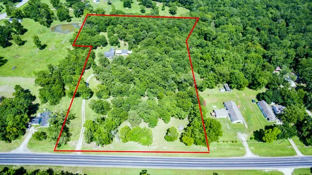 a view of a yard with plants