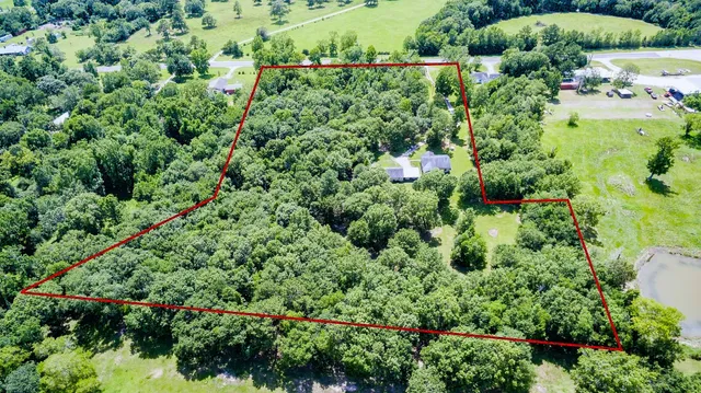 an aerial view of a house with a yard and large trees