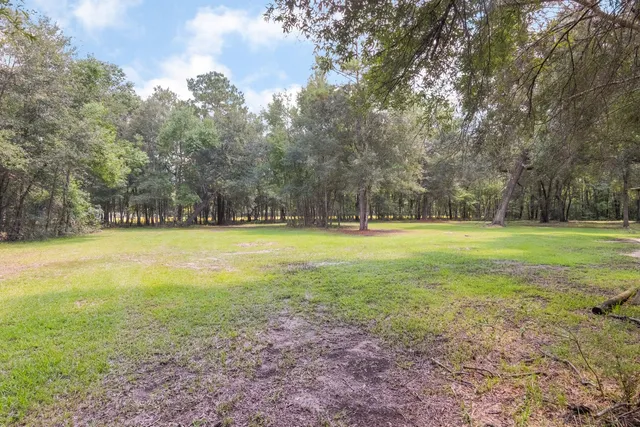 a view of outdoor space with trees all around