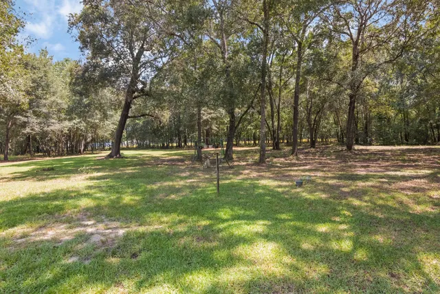 a view of field with trees