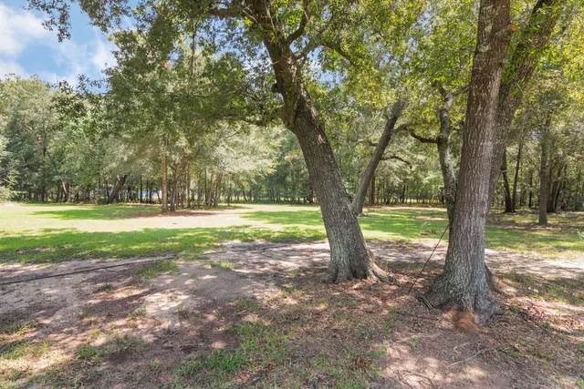 a view of outdoor space with deck and tree