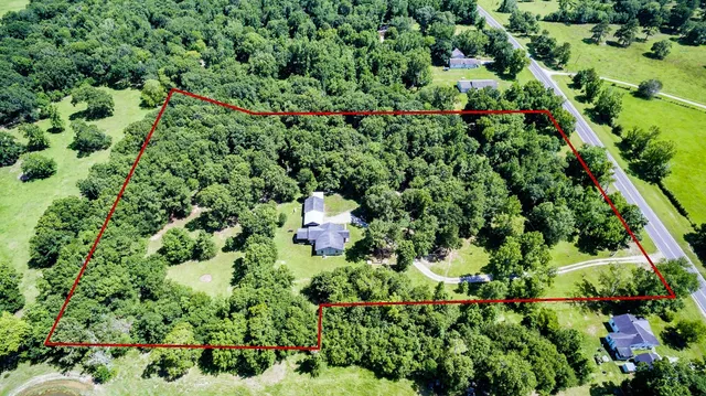 a view of a garden with a tree