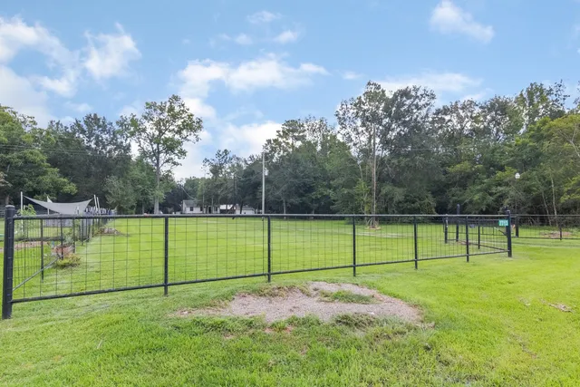 a view of a park with large trees
