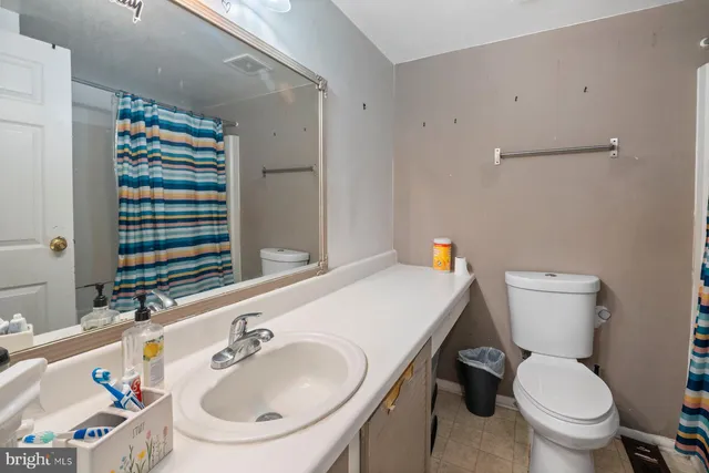 a bathroom with a sink and a toilet