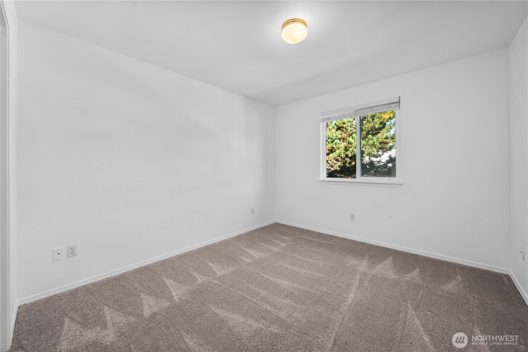 6611 Millstone Lane Southeast, Unit F101 Lacey, WA 98513 - Photo 35 of 40 an empty room with windows and palm plant