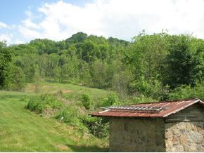 1302 Coffee Ridge Loop Erwin, TN 37650 - Photo 4 of 4 Photo 4