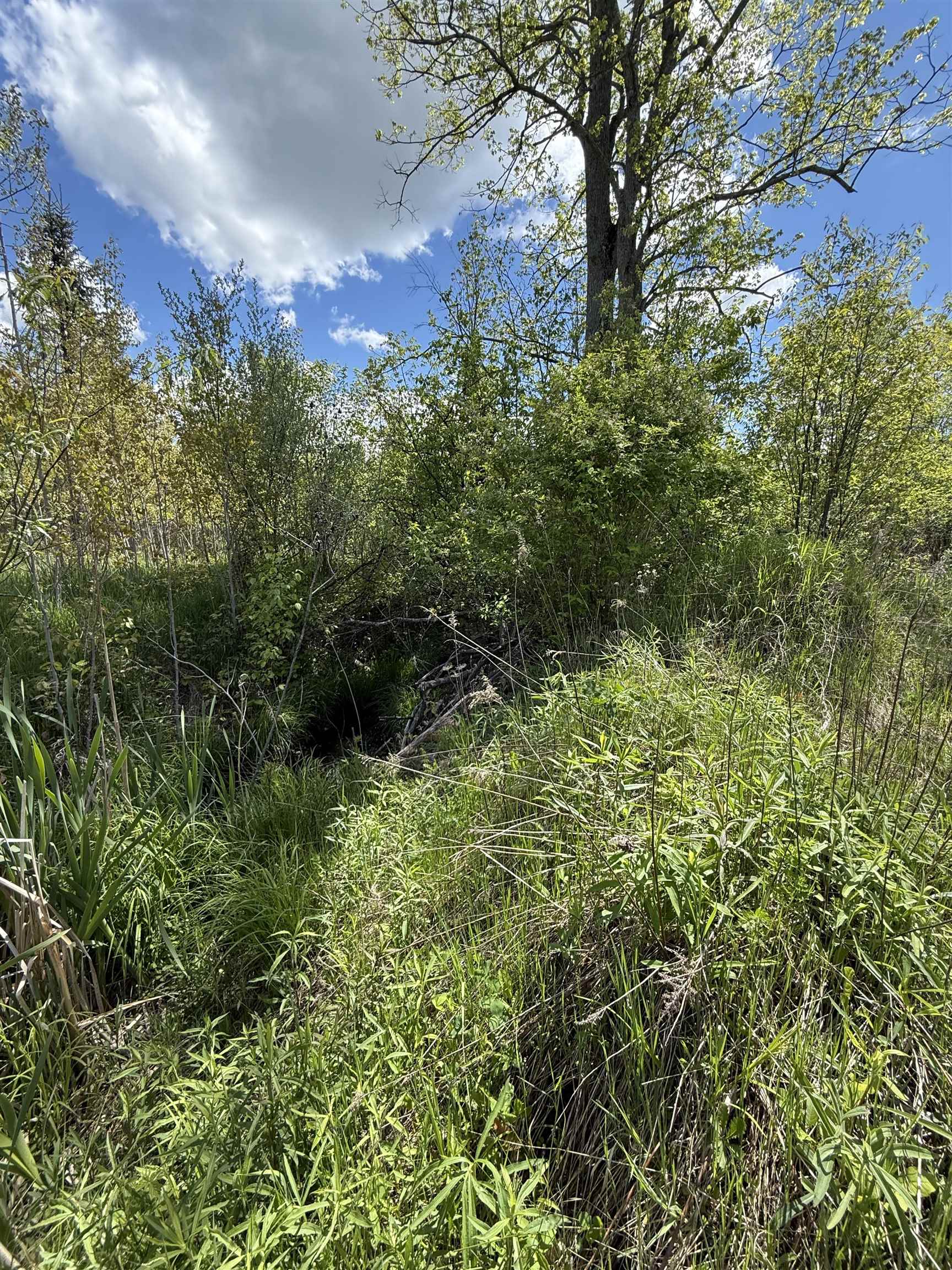 19 Mile Road Kingsley, MI 49649 - Photo 7 of 30