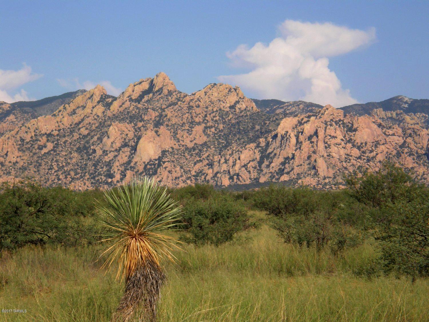6101 East Horse Ranch Road, Unit 38 St. David, AZ 85630 - Photo 15 of 21