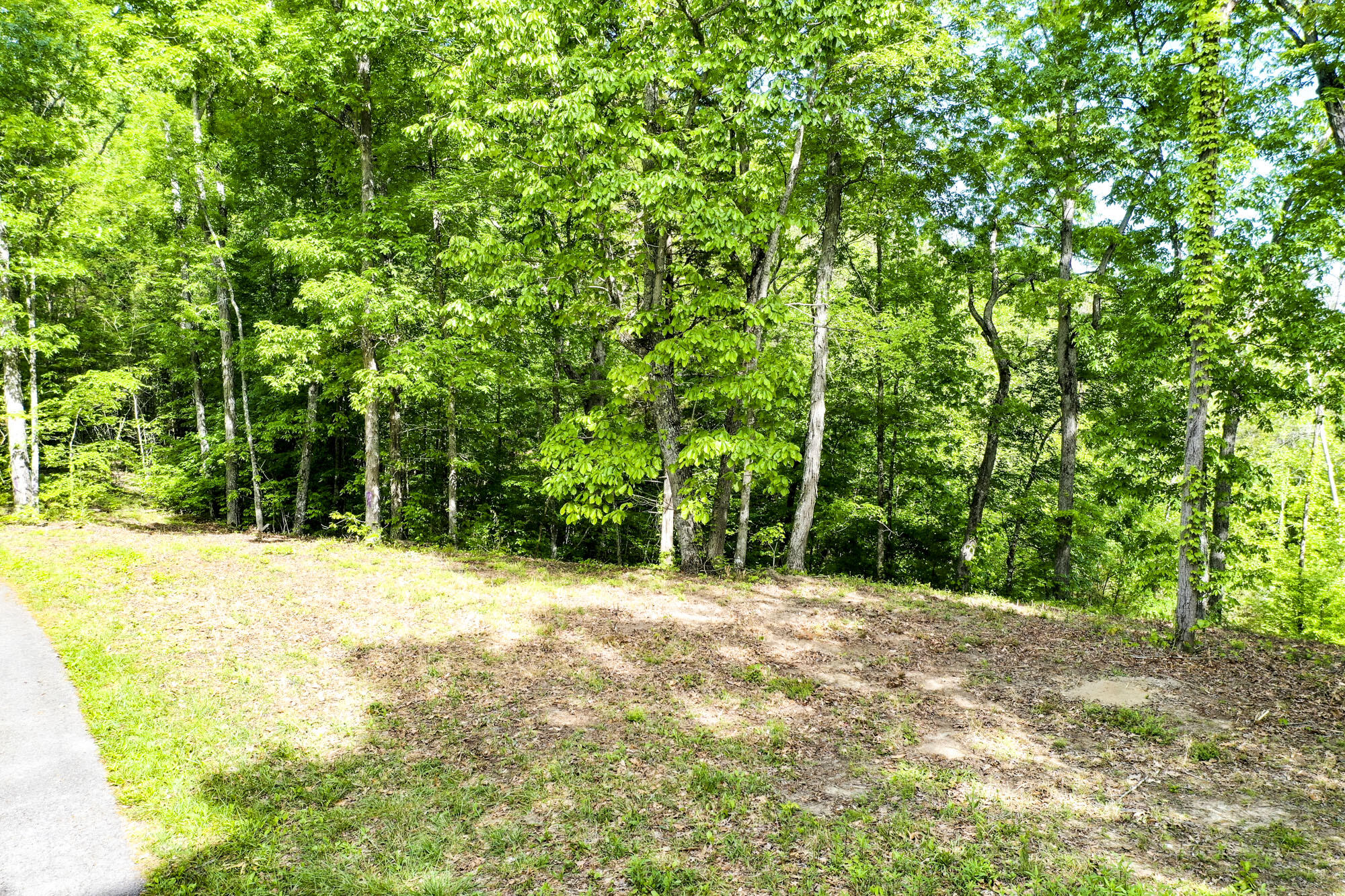 Lot 23 Sandy Ridge Road Dandridge, TN 37725 - Photo 1 of 25 214FD79F130140416AC9BEAC95FAA3EF