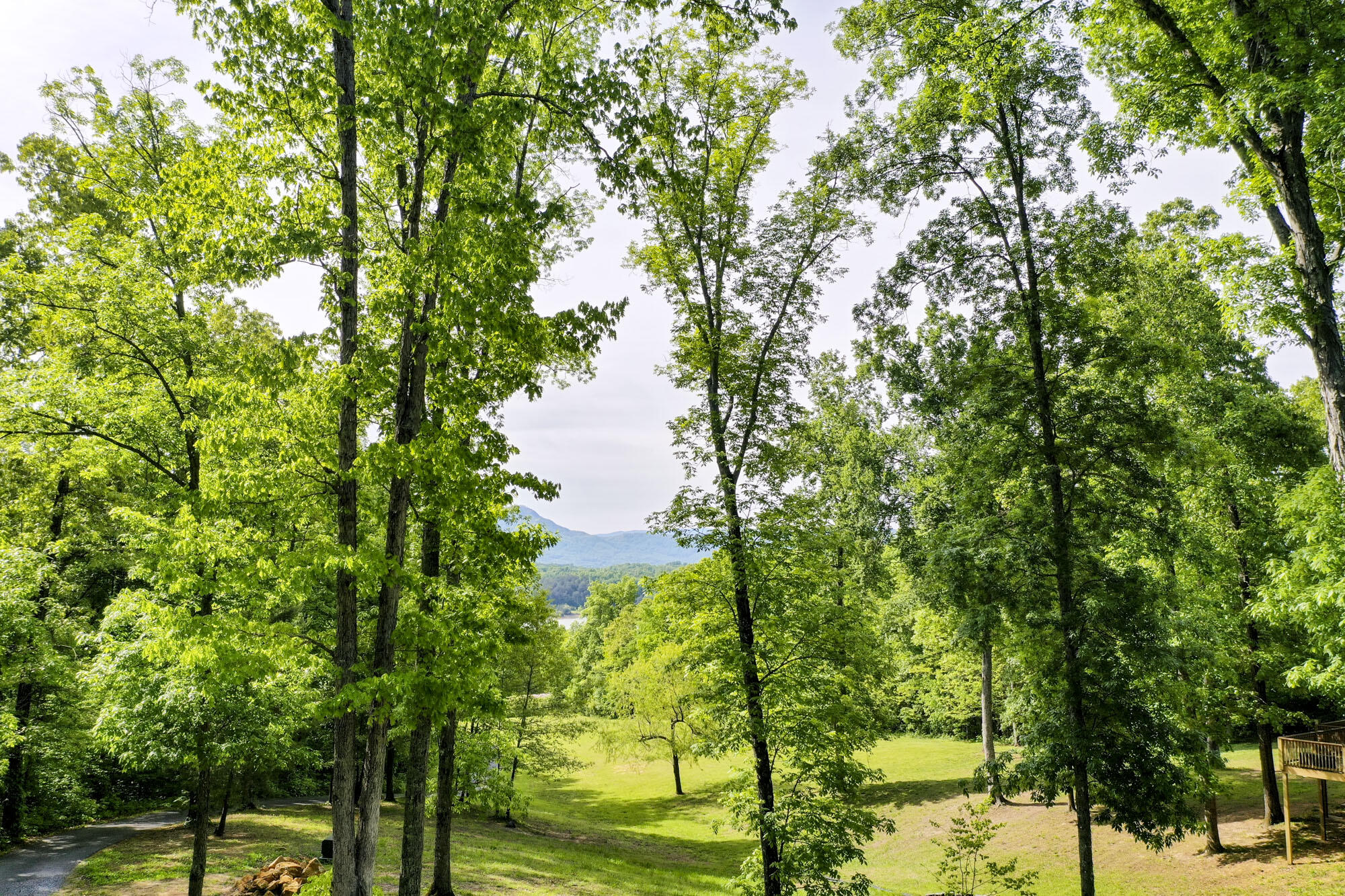 Lot 23 Sandy Ridge Road Dandridge, TN 37725 - Photo 12 of 25 10