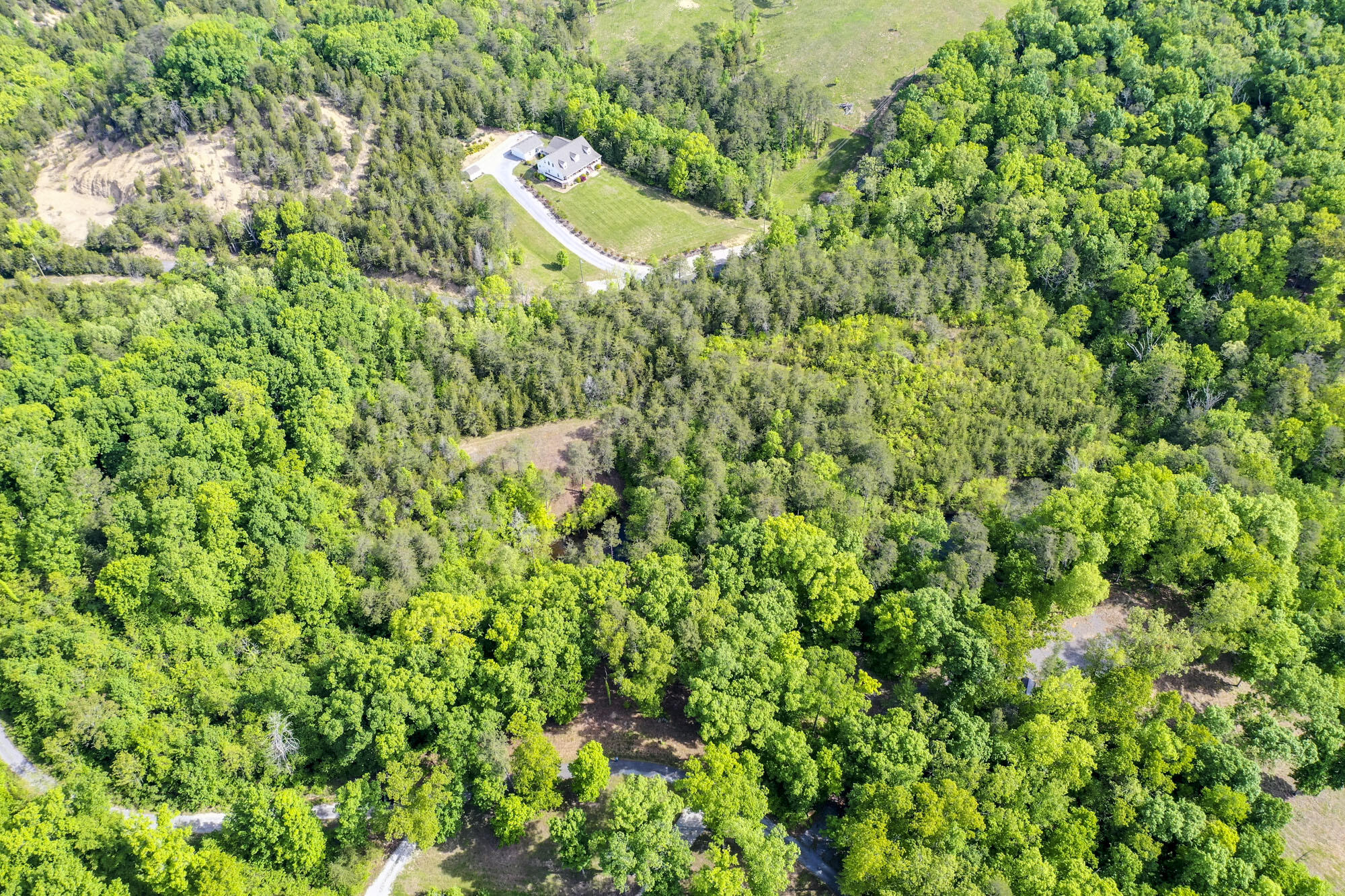 Lot 23 Sandy Ridge Road Dandridge, TN 37725 - Photo 13 of 25 11