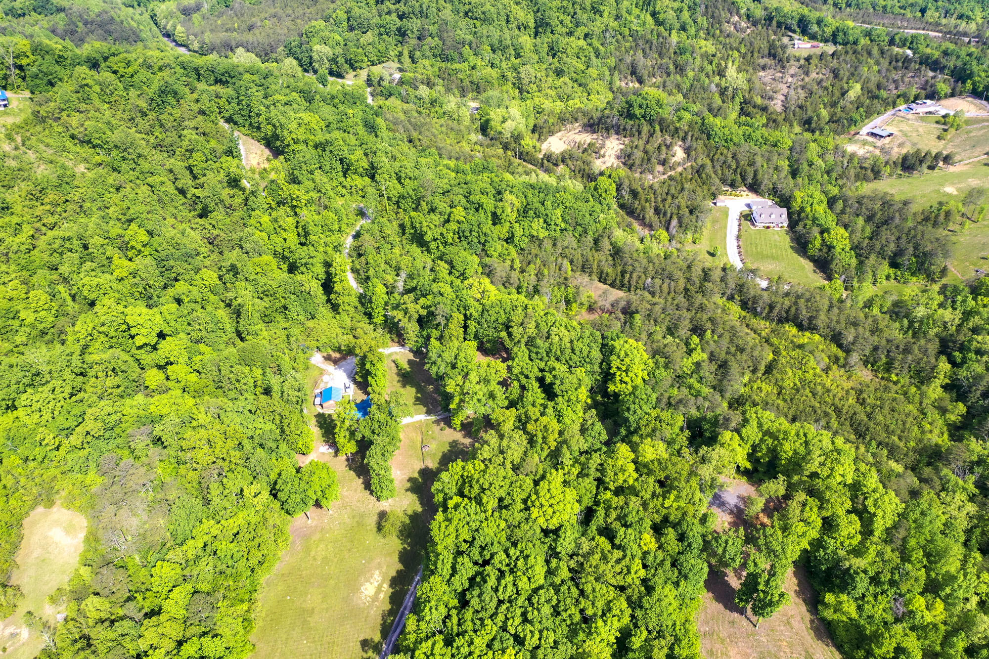 Lot 23 Sandy Ridge Road Dandridge, TN 37725 - Photo 14 of 25 12