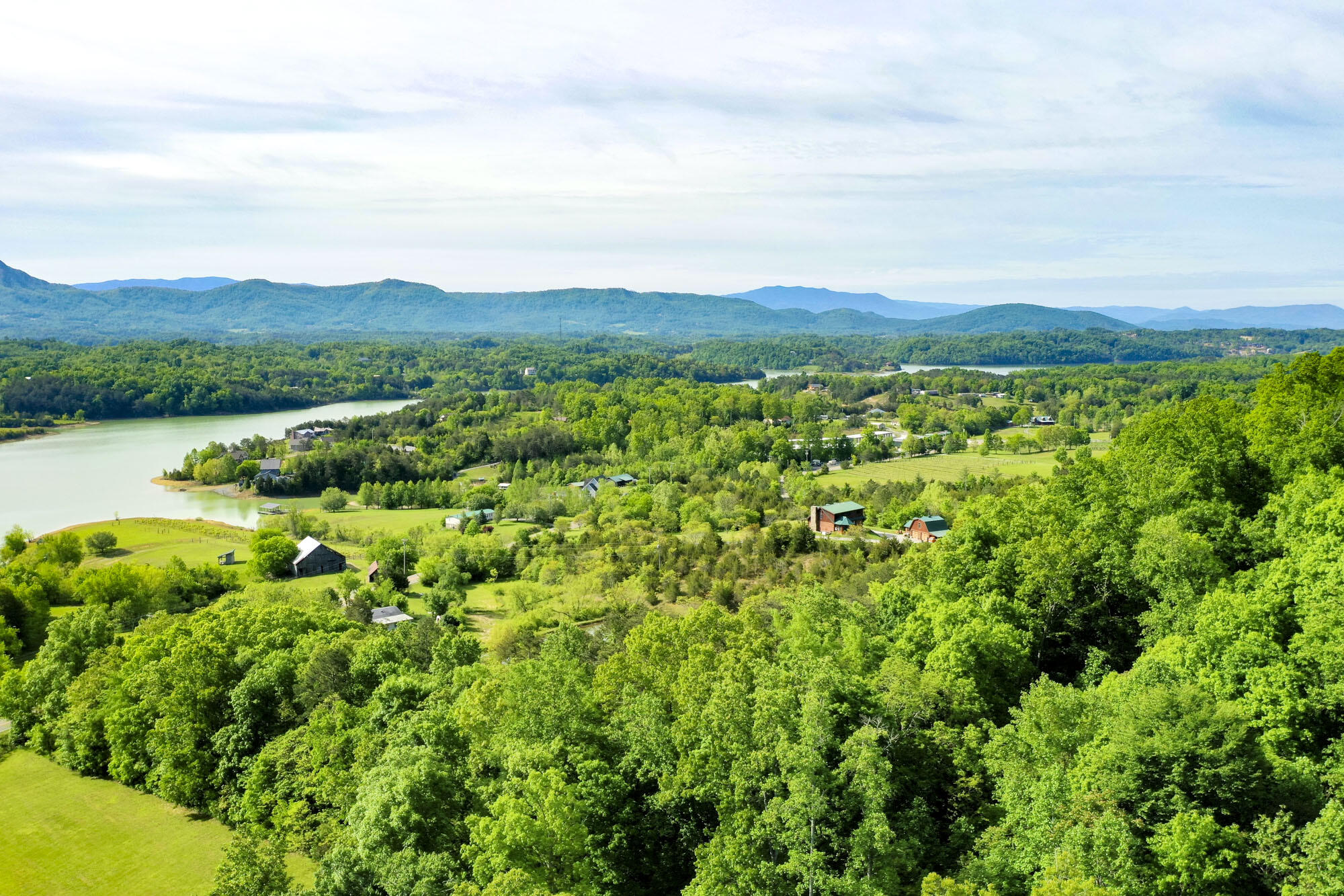 Lot 23 Sandy Ridge Road Dandridge, TN 37725 - Photo 15 of 25 74C9DD6D9FD618B2716050508CA8AEB0