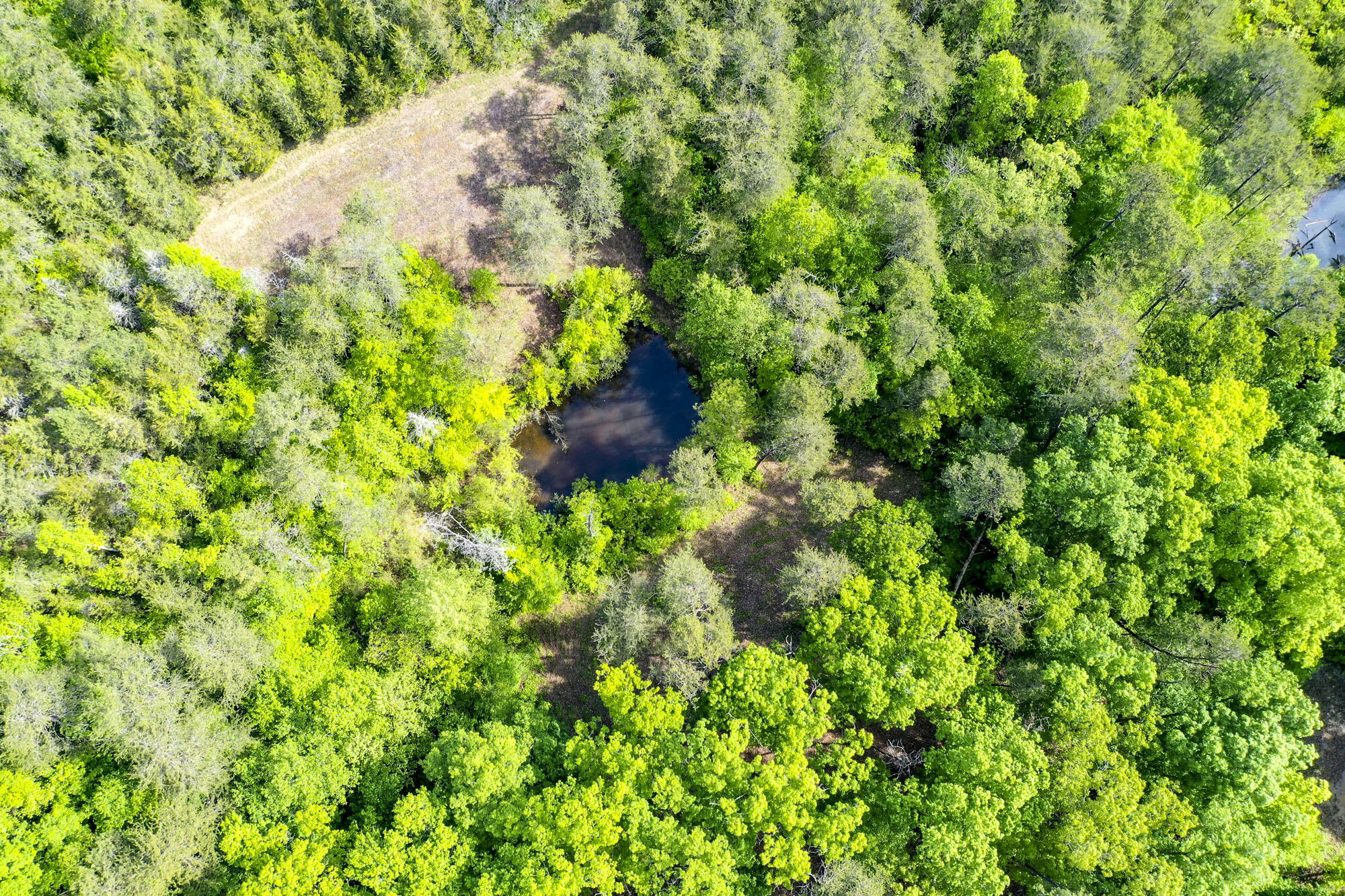 Lot 23 Sandy Ridge Road Dandridge, TN 37725 - Photo 21 of 25 0328FAA738FE6BD5F728B36161544B96