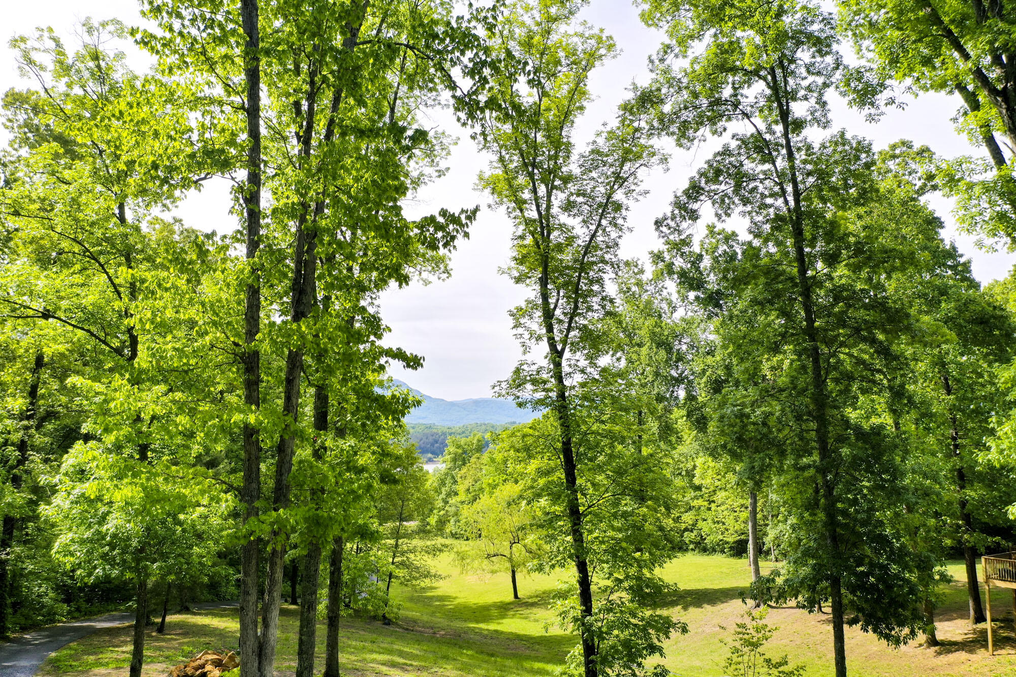 Lot 23 Sandy Ridge Road Dandridge, TN 37725 - Photo 3 of 25 1
