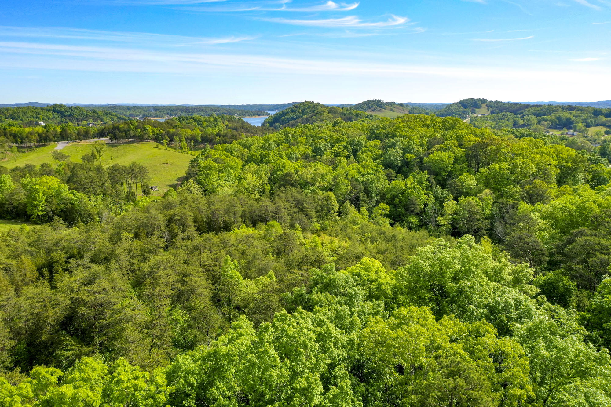 Lot 23 Sandy Ridge Road Dandridge, TN 37725 - Photo 7 of 25 5