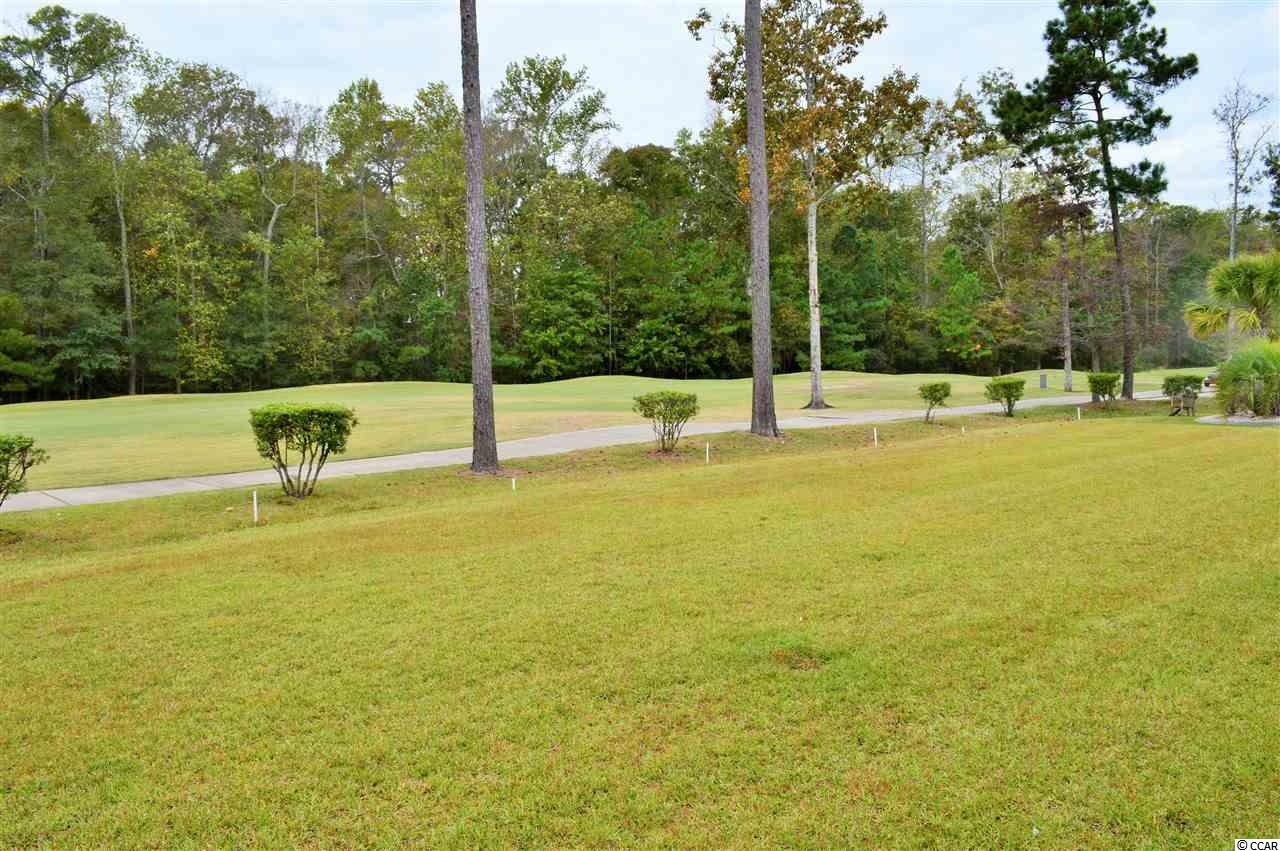 213 Wicklow Drive Murrells Inlet, SC 29576 - Photo 22 of 25 Gallery Image 22