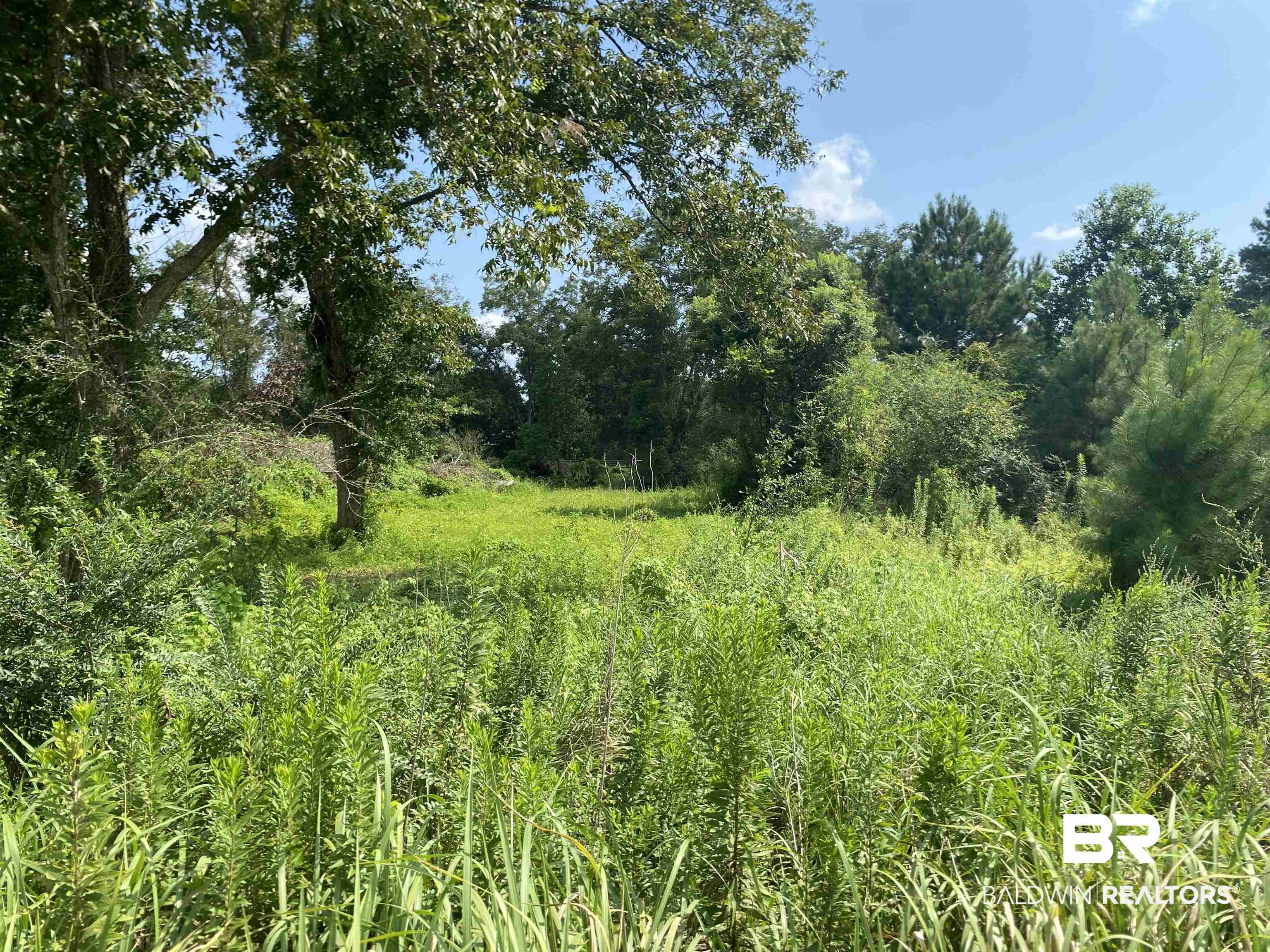 16827 Engel Lane Foley, AL 36535 - Photo 2 of 10 View from Engel Ln