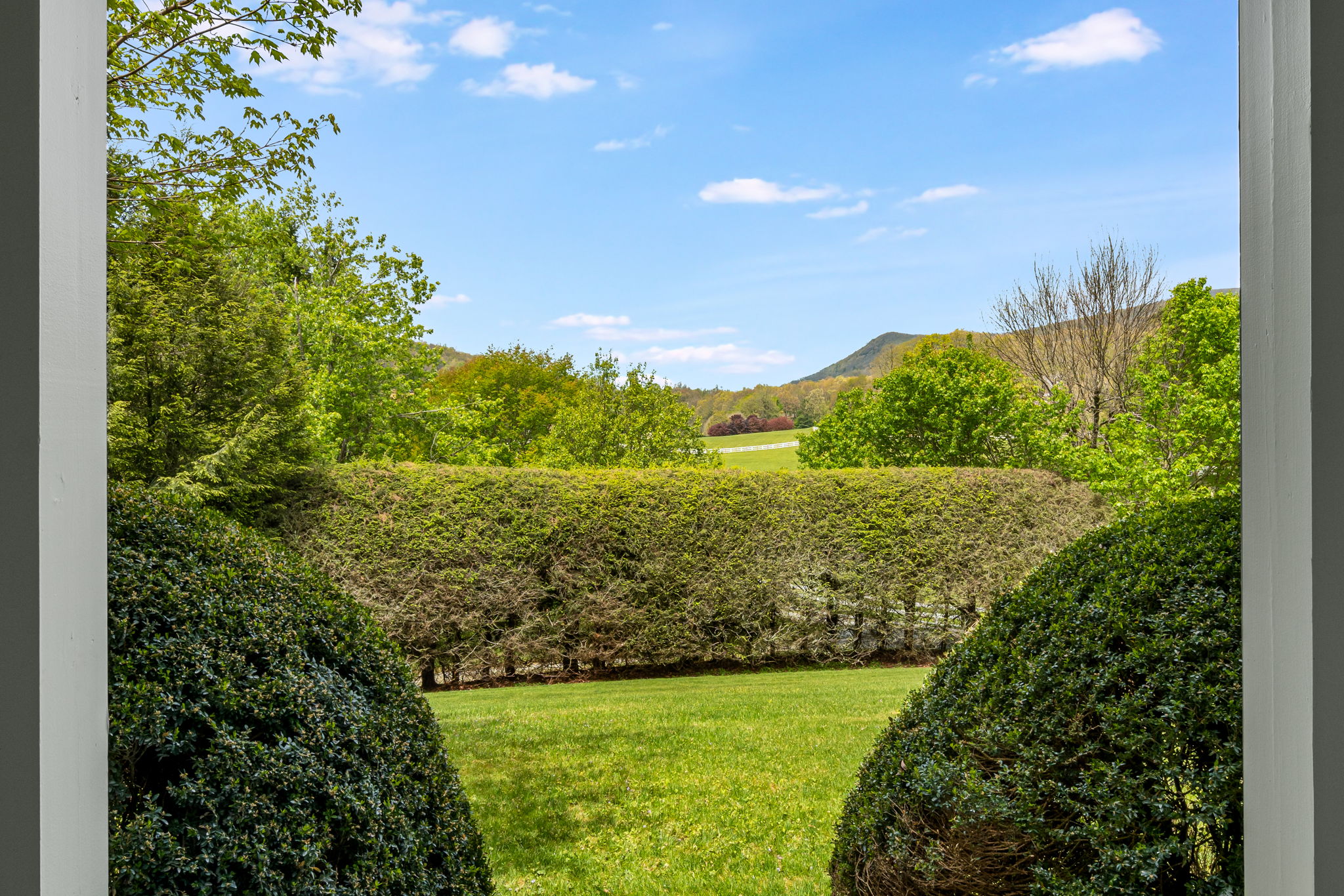 476 Winfield Farm Road Scaly Mountain, NC 28775 - Photo 3 of 65 Gallery Image 3
