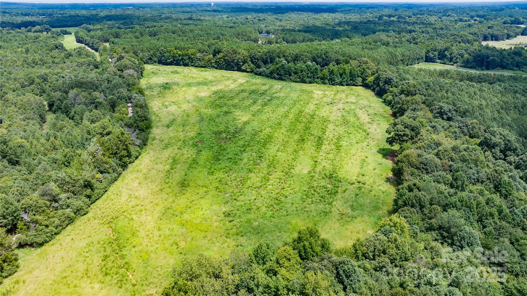 0 Daystar Road, Unit 18 Lancaster, SC 29720 - Photo 11 of 12 a view of a lush green forest with lots of trees