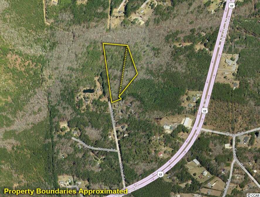 0 White Road Awendaw, SC 29429 - Photo 2 of 5 Gallery Image 2