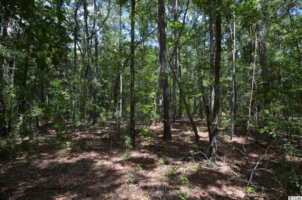 0 White Road Awendaw, SC 29429 - Photo 3 of 5 Gallery Image 3