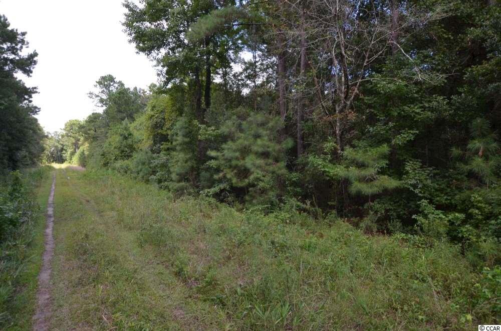 0 White Road Awendaw, SC 29429 - Photo 5 of 5 Gallery Image 5