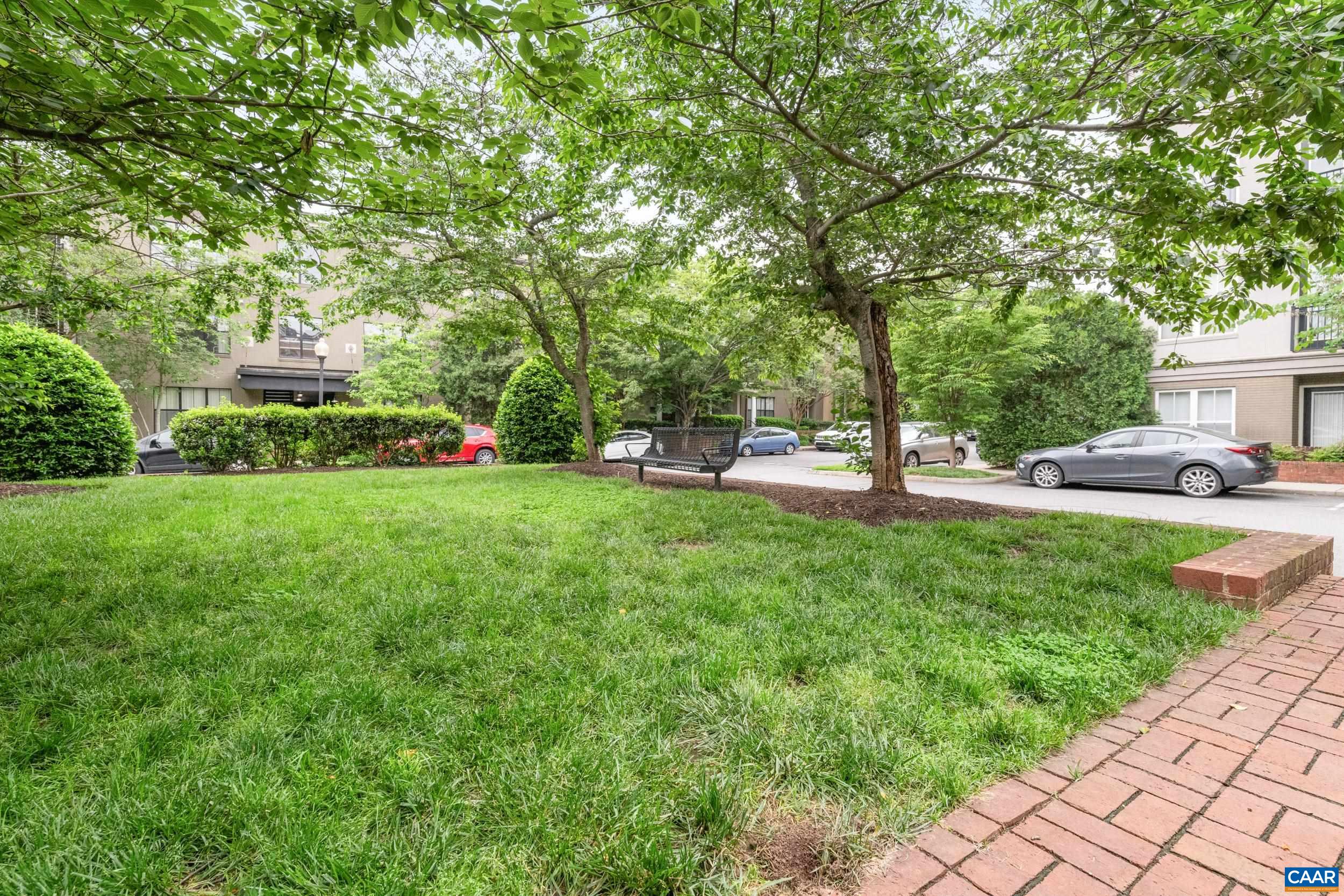 760 Walker Square, Unit 4B Charlottesville, VA 22903 - Photo 38 of 40 a view of a park with large trees