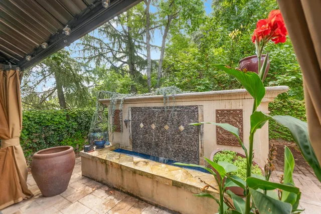 a view of a backyard with plants