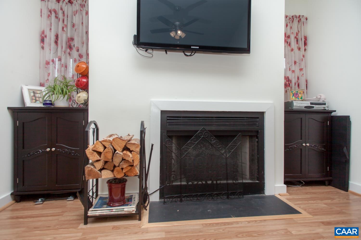 562 Millstone Court Charlottesville, VA 22901 - Photo 9 of 31 a living room with a fireplace and a potted plant