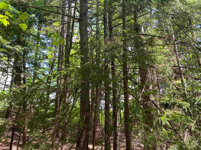 $275,000 | 41 Rice Hill Road, Dover, VT 05341