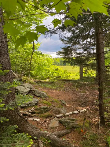 $275,000 | 41 Rice Hill Road, Dover, VT 05341