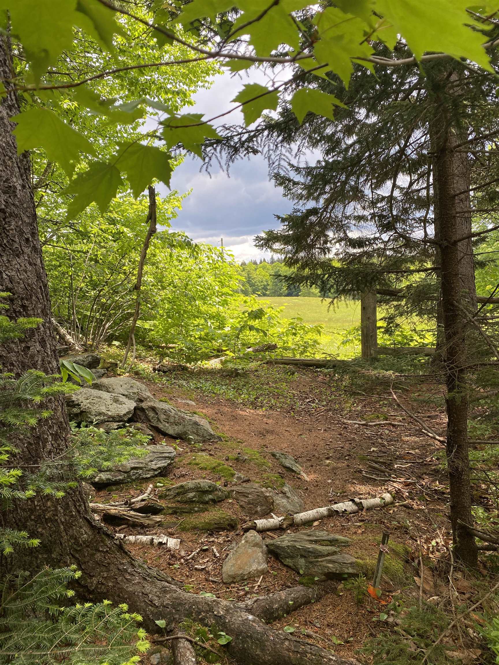 41 Rice Hill Road Dover, VT 05341 - Photo 5 of 9