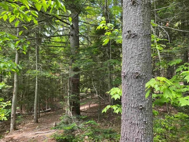 $275,000 | 41 Rice Hill Road, Dover, VT 05341