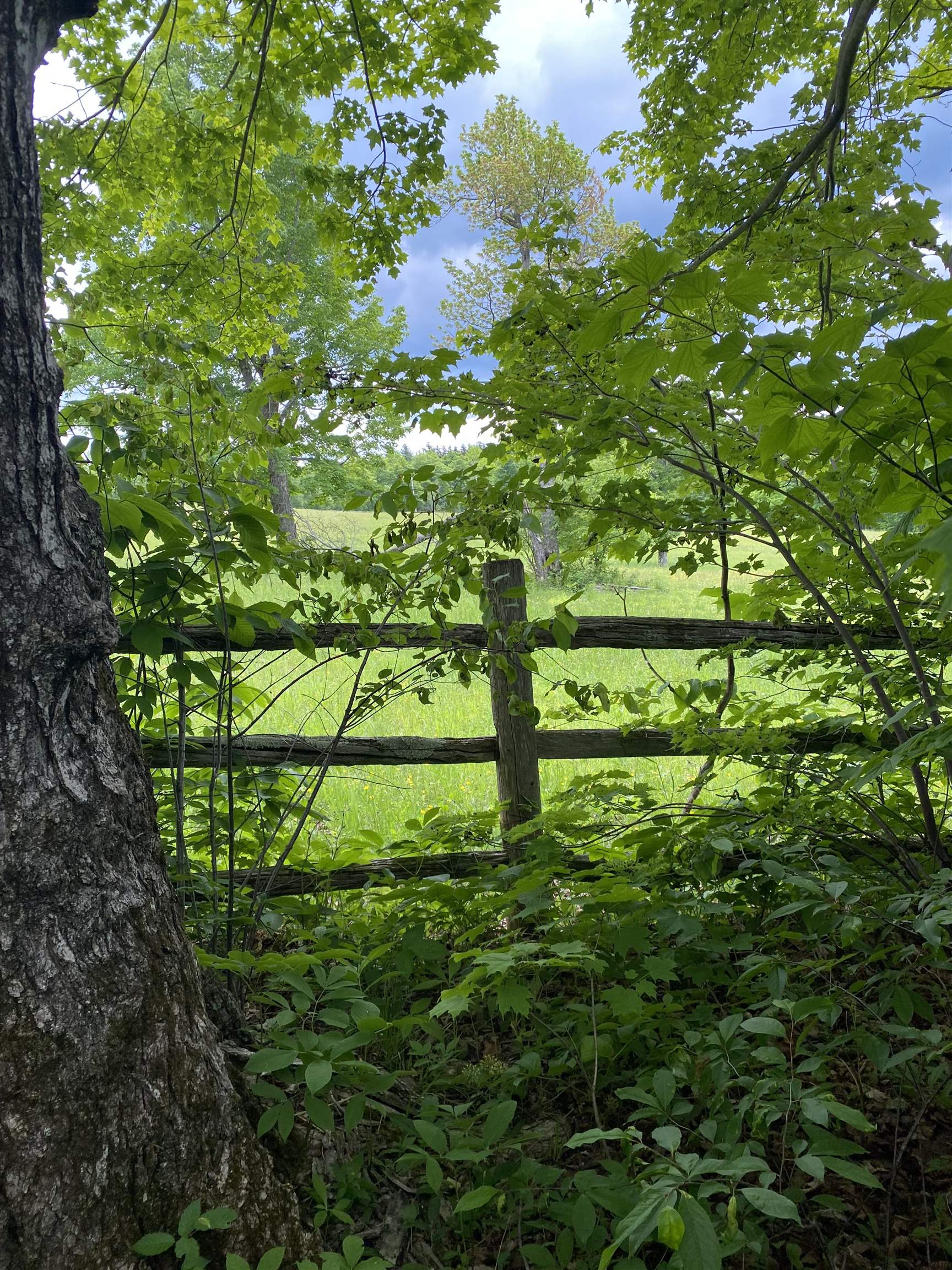 41 Rice Hill Road Dover, VT 05341 - Photo 7 of 9