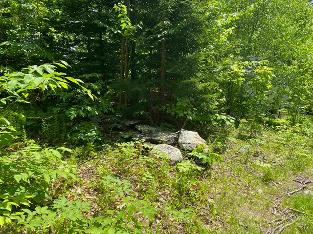 $275,000 | 41 Rice Hill Road, Dover, VT 05341