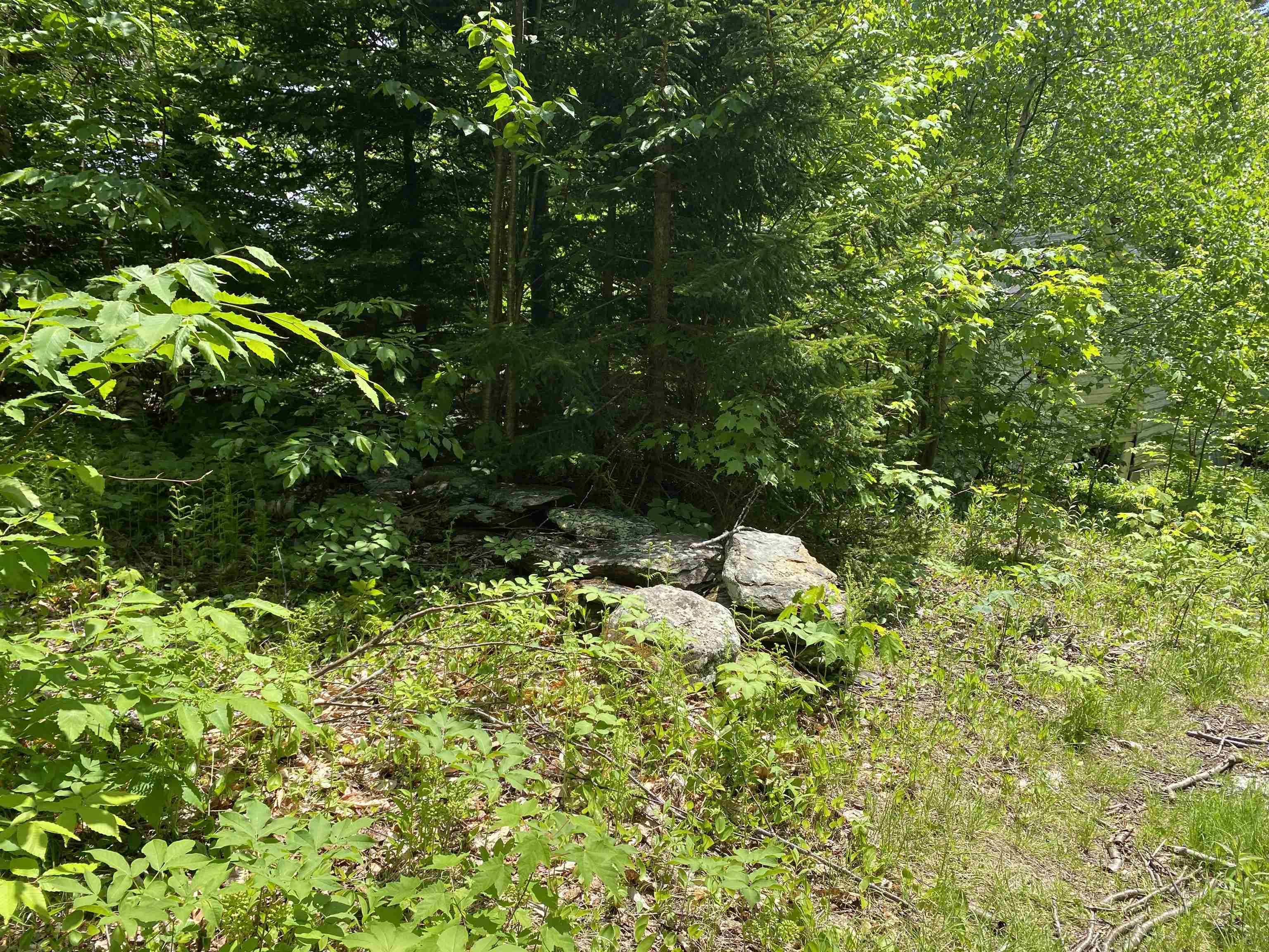 41 Rice Hill Road Dover, VT 05341 - Photo 8 of 9