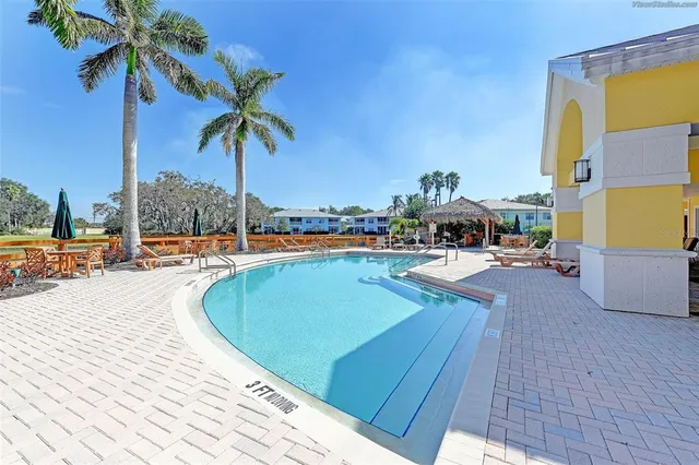 a view of a swimming pool with a lawn chairs under palm trees
