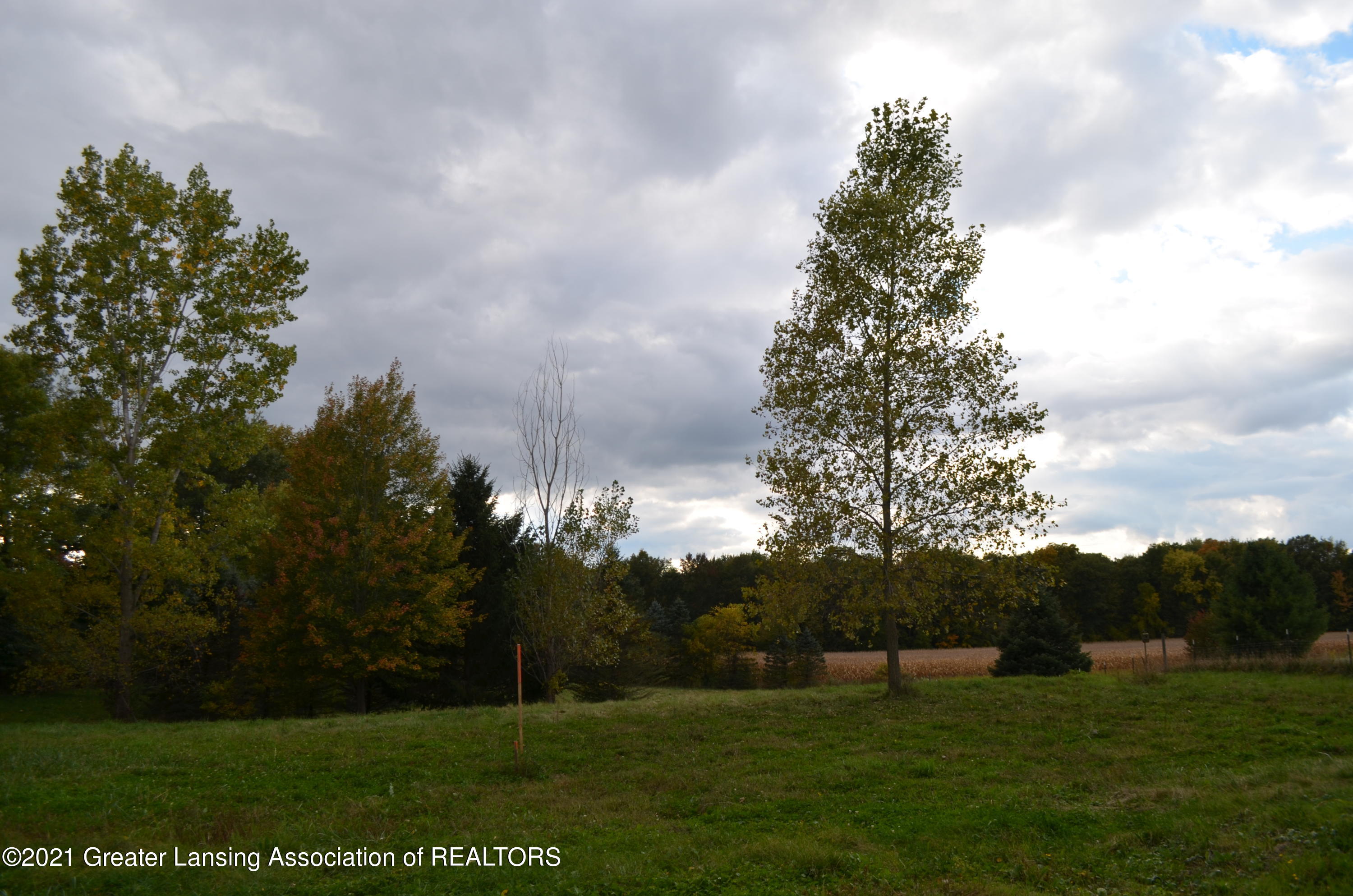 4676 Williamston Road Stockbridge, MI 49285 - Photo 18 of 19 Utilites hill