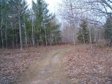 9241 Inverness Trail Road Cheboygan, MI 49721 - Photo 18 of 25 Gallery Image 18