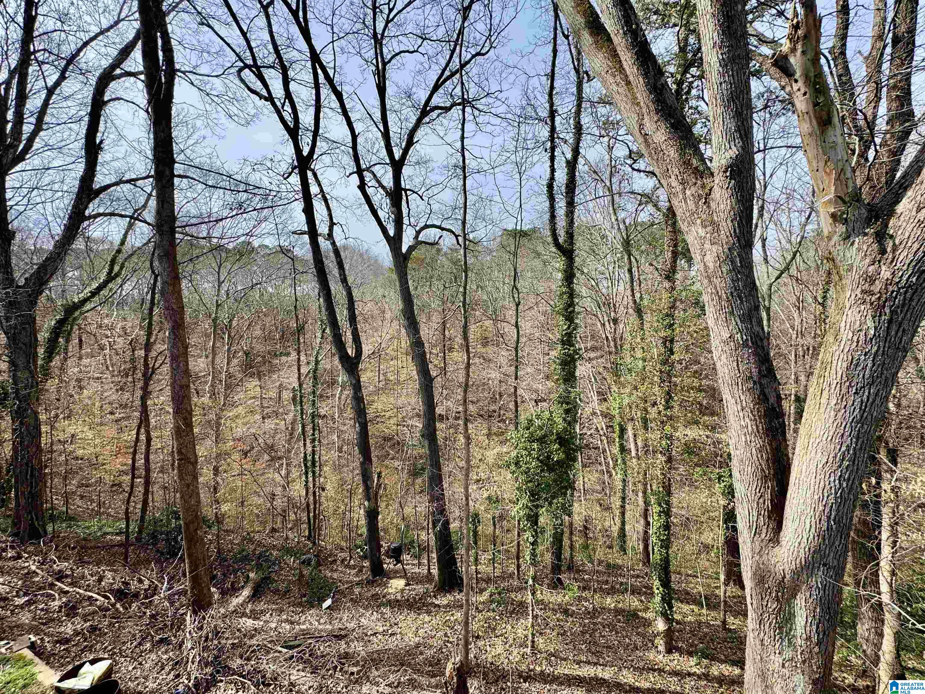 308 Cliff Road Gardendale, AL 35071 - Photo 5 of 57 Gallery Image 5