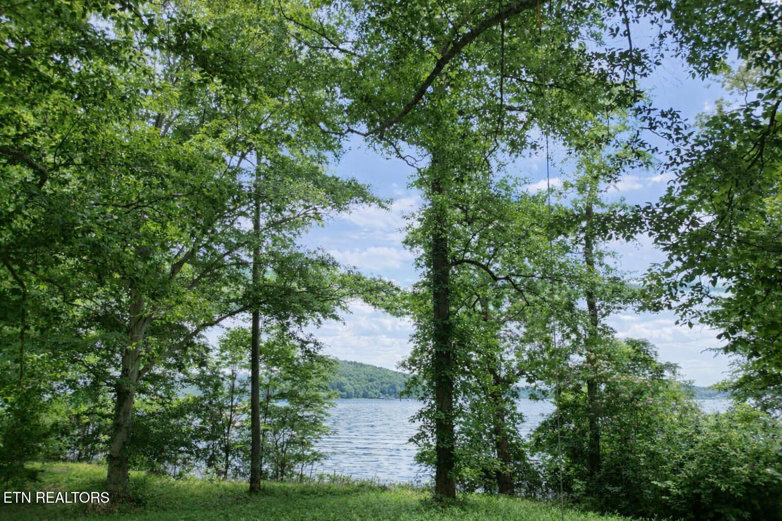 440 Swan Pond Cir Road Harriman, TN 37748 - Photo 5 of 17 ViewfromTheShorelineSwanPond