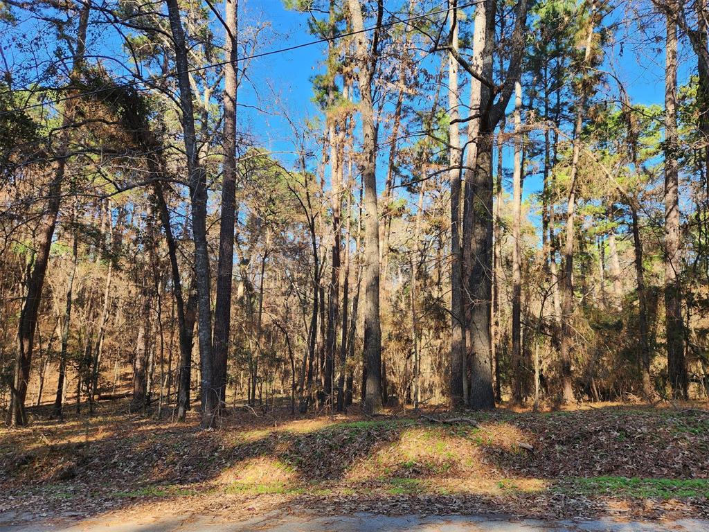 17498 Pintail Drive Flint, TX 75762 - Photo 1 of 1 a view of outdoor space with trees