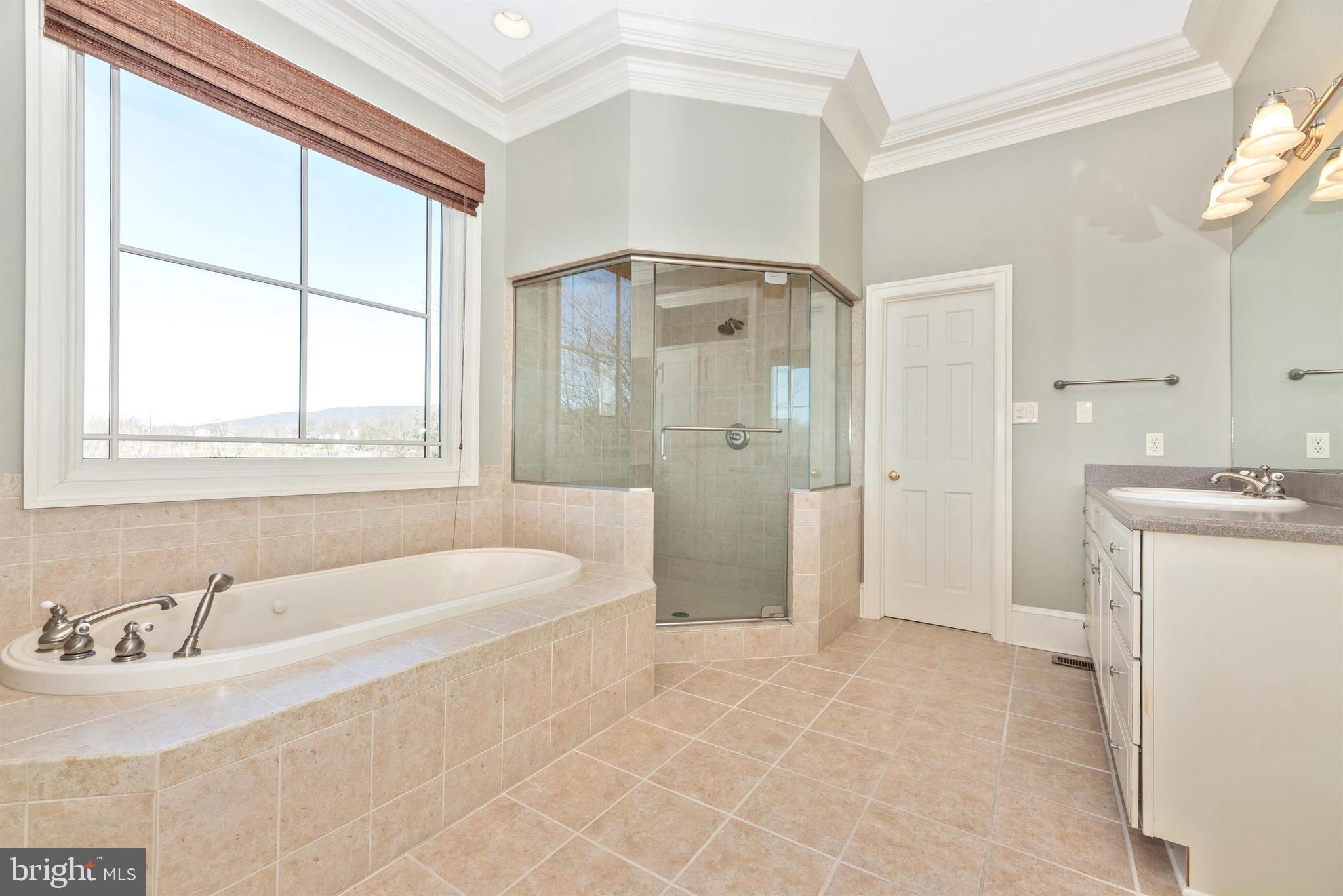 2926 Rohrersville Road Rohrersville, MD 21779 - Photo 26 of 63 Jetted tub and oversized shower complete the room.