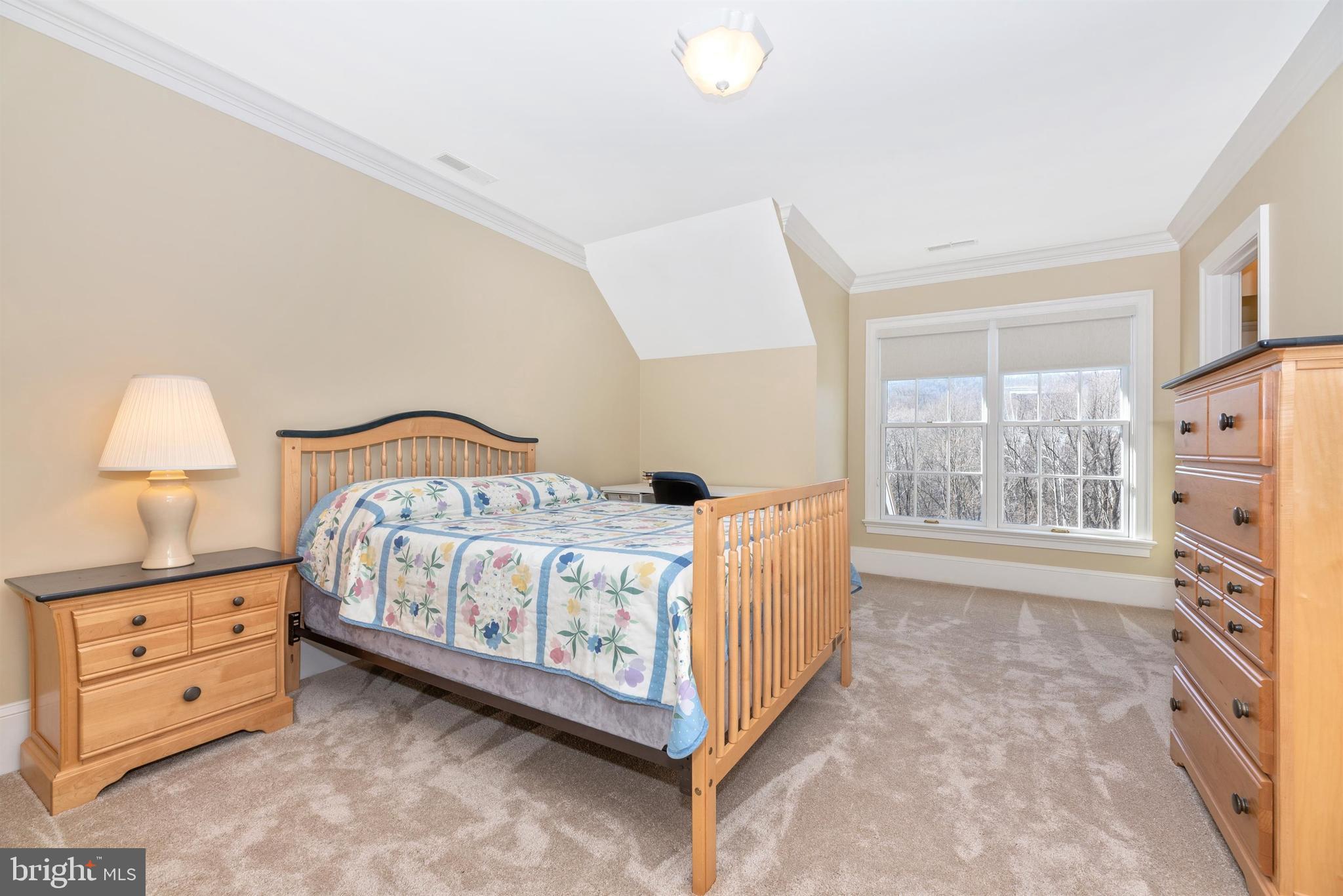 2926 Rohrersville Road Rohrersville, MD 21779 - Photo 36 of 63 2nd upper level bedroom.
