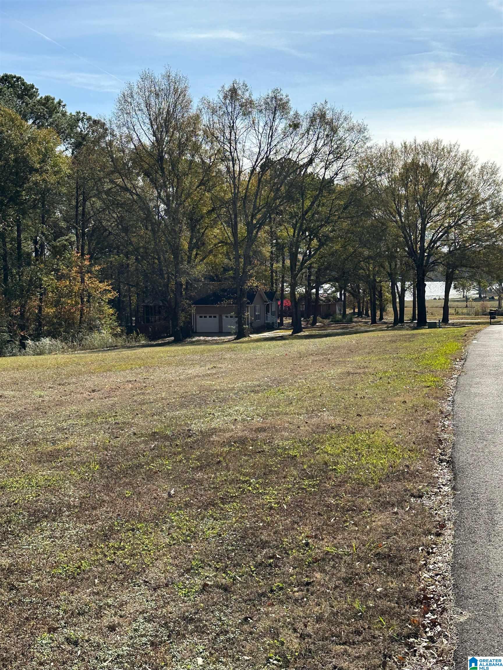 Lot 5 Carleton Point, Unit 5 Wilsonville, AL 35186 - Photo 7 of 12